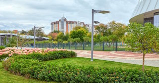 Профессиональное озеленение улиц в Холмске в октябре