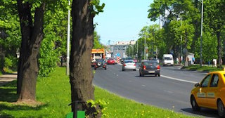 Посадка деревьев и кустарников в Холмске — стоимость от 1233 руб.